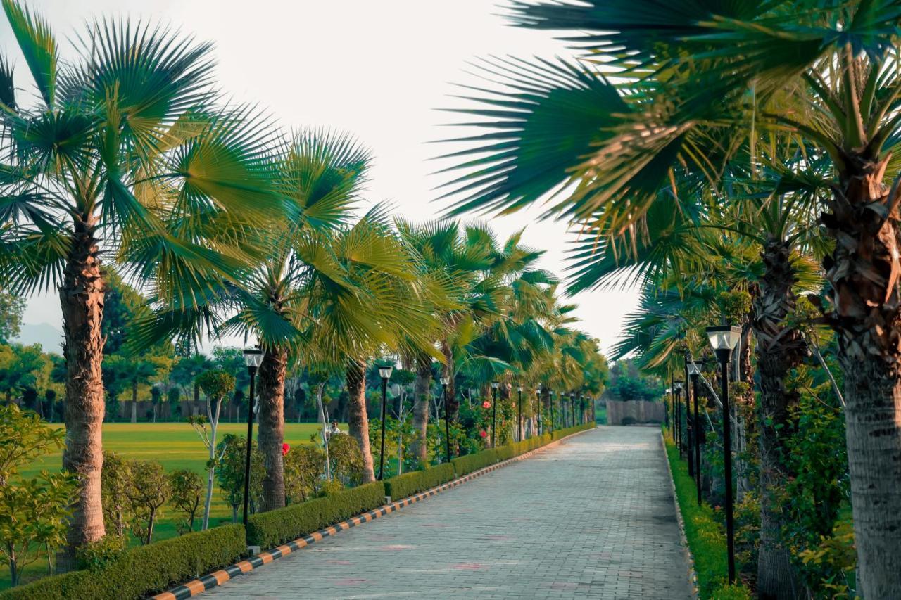 Pride Resort & Convention Center Ranakpur Near Ranakpur Dam Sādri Eksteriør bilde